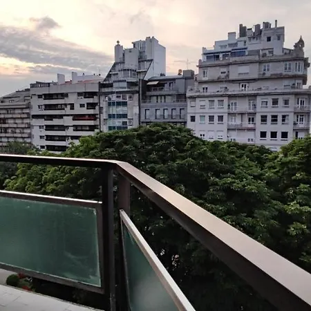 Alameda Golden View Βίγκο